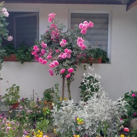 Willa Casa Luminita Ieşelniţa Zewnętrze zdjęcie