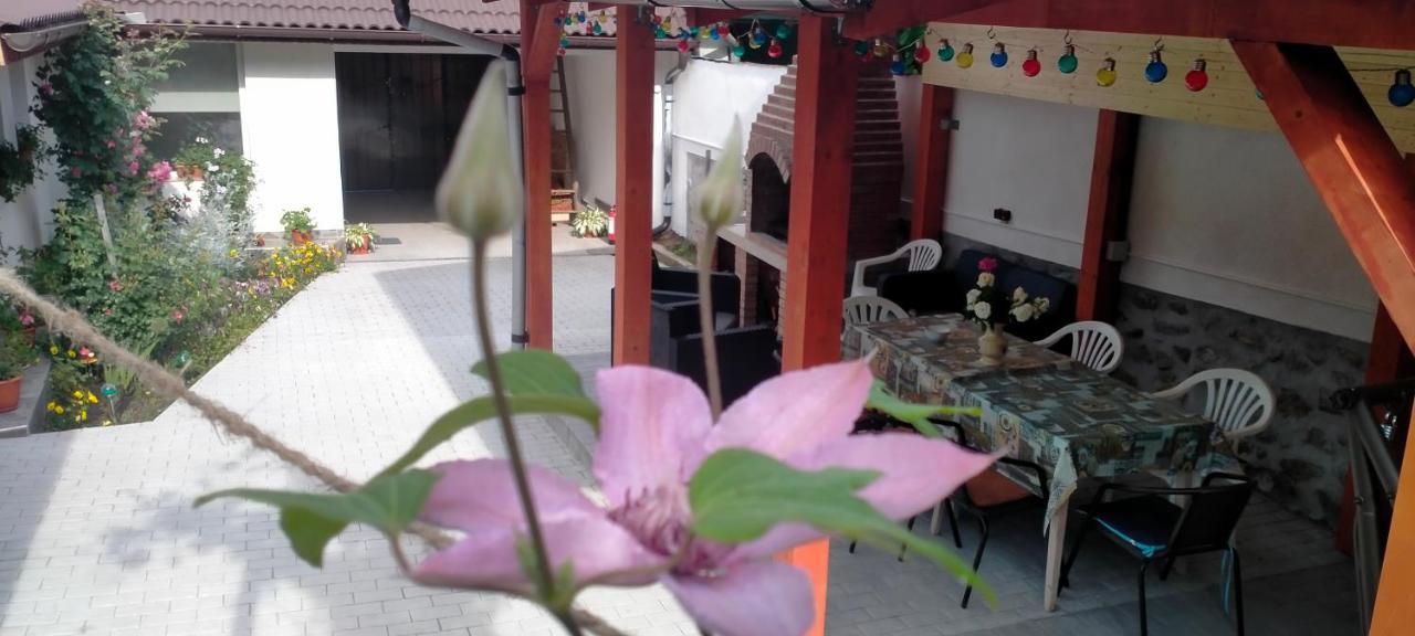 Willa Casa Luminita Ieşelniţa Zewnętrze zdjęcie