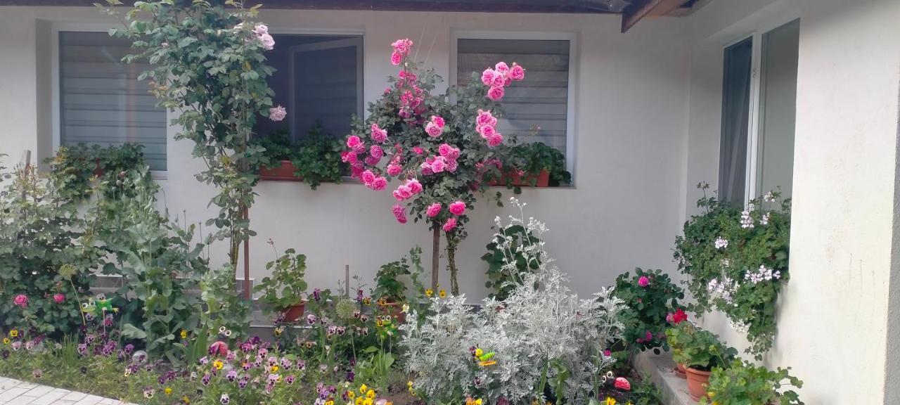 Willa Casa Luminita Ieşelniţa Zewnętrze zdjęcie